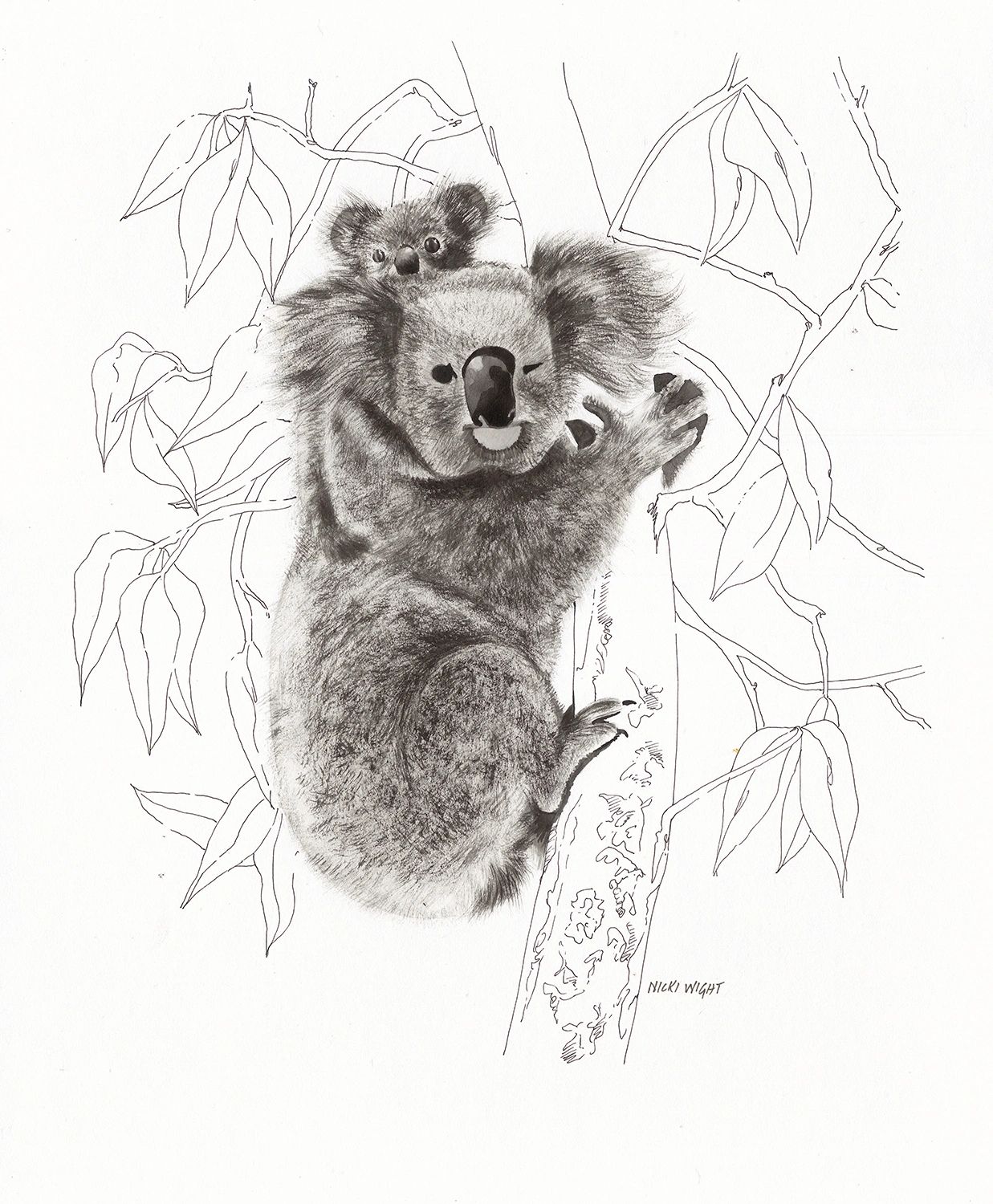 "Koala"