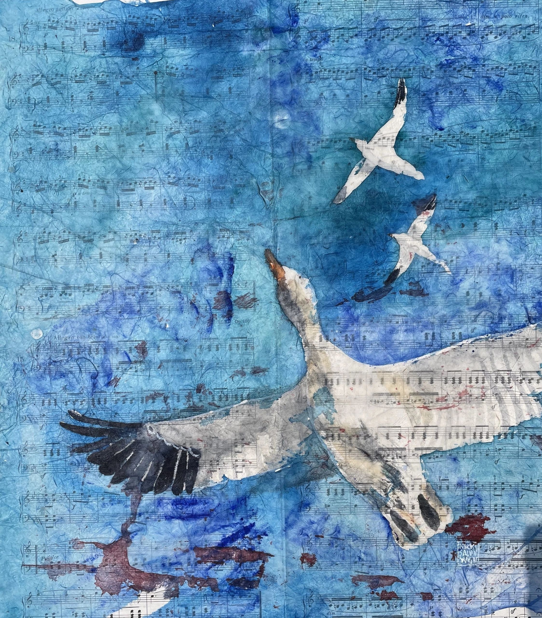 Snow Goose